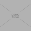 Demo Image 3